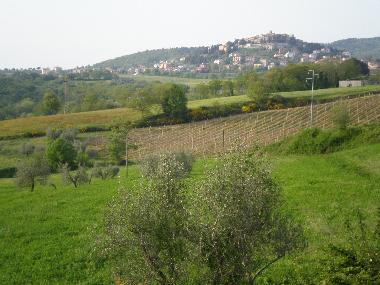 Ferienhaus in Piegaro (Firenze) oder Ferienwohnung oder Ferienhaus