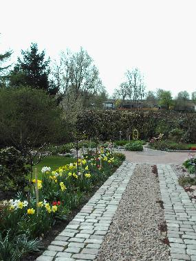 der Garten