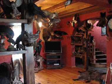 Ferienwohnung in Antinciems (Lettland) oder Ferienwohnung oder Ferienhaus