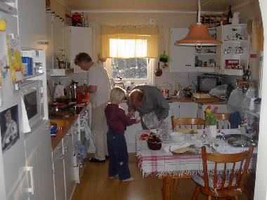 Villa in OLSFORS, BOLLEBYGD (V�sterg�tland) oder Ferienwohnung oder Ferienhaus