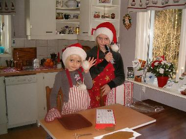 Villa in OLSFORS, BOLLEBYGD (V�sterg�tland) oder Ferienwohnung oder Ferienhaus