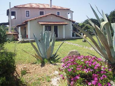 Ferienwohnung in PYRGOS (Ileia) oder Ferienwohnung oder Ferienhaus