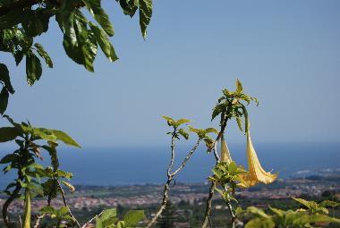 Ferienhaus in Mascali (Catania) oder Ferienwohnung oder Ferienhaus