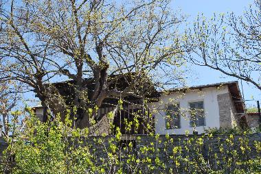 Ferienhaus in Kazaviti (Megalos Prinos) (Kavala) oder Ferienwohnung oder Ferienhaus