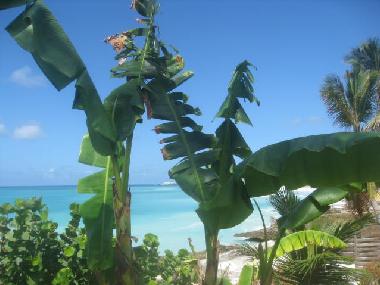 Villa in SINT MAARTEN (Sint Maarten) oder Ferienwohnung oder Ferienhaus
