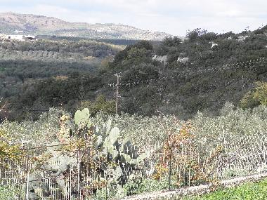 Ferienwohnung in RETHYMNON (Rethymni) oder Ferienwohnung oder Ferienhaus