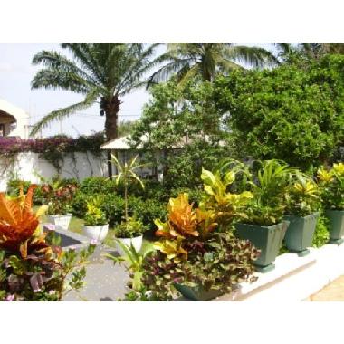 Ferienhaus in Lom� (Lome) oder Ferienwohnung oder Ferienhaus