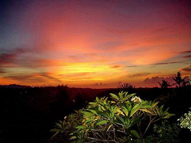 Villa in Ubud (Bali) oder Ferienwohnung oder Ferienhaus