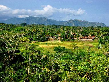 Villa in Ubud (Bali) oder Ferienwohnung oder Ferienhaus