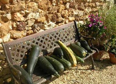 Ferienhaus in Rouffignac St Cernin (Dordogne) oder Ferienwohnung oder Ferienhaus