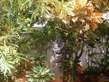 Ferienwohnung in Induruwa (Kalutara) oder Ferienwohnung oder Ferienhaus