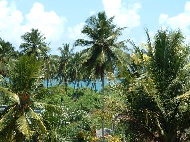 Ferienwohnung in Induruwa (Kalutara) oder Ferienwohnung oder Ferienhaus