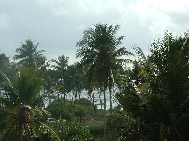 Ferienwohnung in Induruwa (Kalutara) oder Ferienwohnung oder Ferienhaus