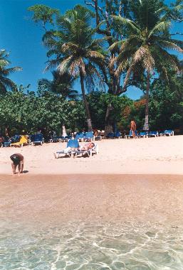 Ferienwohnung in SOSUA (Puerto Plata) oder Ferienwohnung oder Ferienhaus