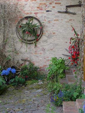 Die Terasse