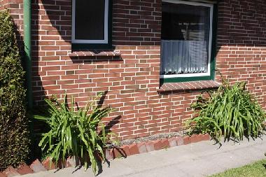 Ferienhaus in Carolinensiel (Nordsee-Festland / Ostfriesland) oder Ferienwohnung oder Ferienhaus