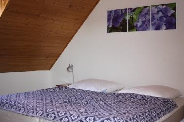 Ferienhaus in Carolinensiel (Nordsee-Festland / Ostfriesland) oder Ferienwohnung oder Ferienhaus