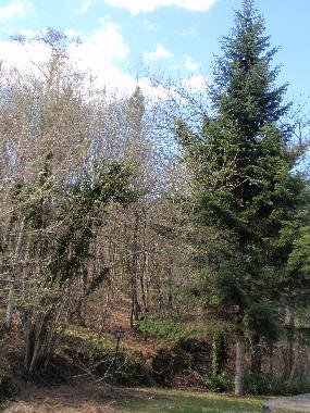 Ferienhaus in faltona (Arezzo) oder Ferienwohnung oder Ferienhaus