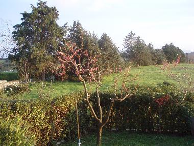 Ferienwohnung in Valpiana (Grosseto) oder Ferienwohnung oder Ferienhaus