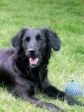 Wir sind willkommen! 