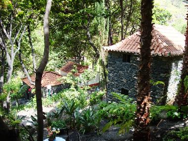 Ferienhaus in Ribeira Brava (Madeira) oder Ferienwohnung oder Ferienhaus