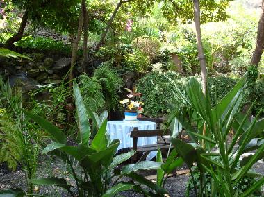 Ferienhaus in Ribeira Brava (Madeira) oder Ferienwohnung oder Ferienhaus