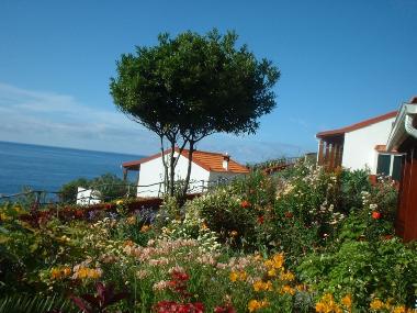 Ferienhaus in Santana (Madeira) oder Ferienwohnung oder Ferienhaus