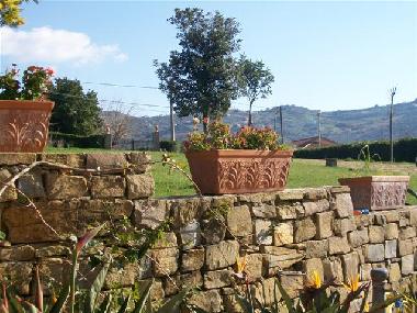 Villa in Castellabate (Salerno) oder Ferienwohnung oder Ferienhaus