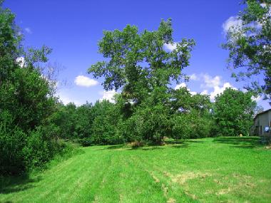 Ferienwohnung in Pamiers (Ari�ge) oder Ferienwohnung oder Ferienhaus