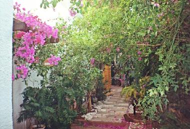 Ferienwohnung in Kohav-Yair (HaMerkaz (Central)) oder Ferienwohnung oder Ferienhaus