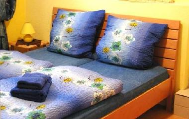Ferienwohnung in Oberhof (Thringer Kernland) oder Ferienwohnung oder Ferienhaus