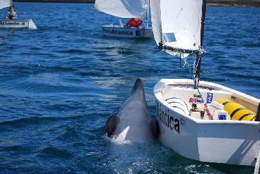 Ferienwohnung in Ezaro (A Corua) oder Ferienwohnung oder Ferienhaus