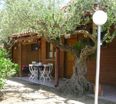 Ferienwohnung in Gythio (Lakonia) oder Ferienwohnung oder Ferienhaus