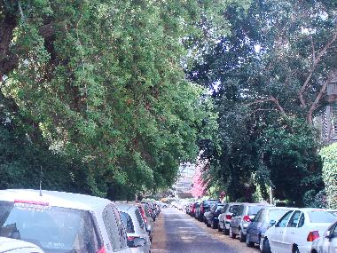 Ferienwohnung in Tel Aviv (Tel Aviv) oder Ferienwohnung oder Ferienhaus