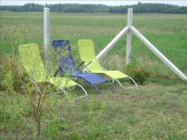 Ferienhaus in Jaszszentandras (Jasz-Nagykun-Szolnok) oder Ferienwohnung oder Ferienhaus