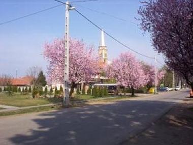 Ferienhaus in Jaszszentandras (Jasz-Nagykun-Szolnok) oder Ferienwohnung oder Ferienhaus