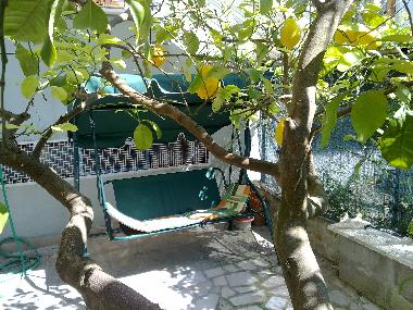 Ferienwohnung in Trani (Bari) oder Ferienwohnung oder Ferienhaus