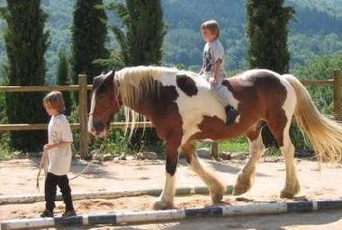 Ferienwohnung in Travale (Grosseto) oder Ferienwohnung oder Ferienhaus