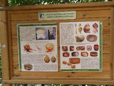 Pension in Asti (Asti) oder Ferienwohnung oder Ferienhaus