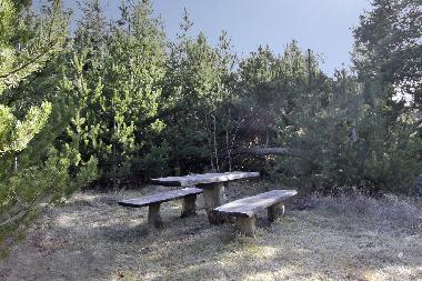 Ferienhaus in Blaavand (Ribe) oder Ferienwohnung oder Ferienhaus