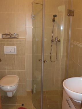 Ferienhaus in Nespeky (Stredocesky Kraj) oder Ferienwohnung oder Ferienhaus