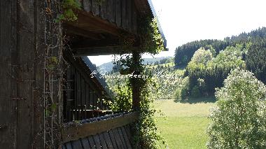 Ferienwohnung in Schmallenberg - Westfeld (Sauerland) oder Ferienwohnung oder Ferienhaus