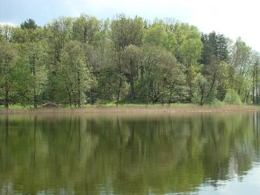 Pension in Tomaszkowo (Warminsko-Mazurskie) oder Ferienwohnung oder Ferienhaus