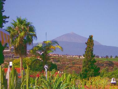 Teide 