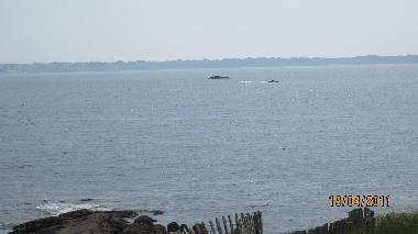 Ferienhaus in ploemeur(courgan) (Morbihan) oder Ferienwohnung oder Ferienhaus
