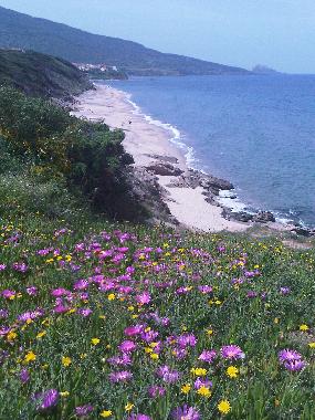 Ferienwohnung in La Mudizza (Sassari) oder Ferienwohnung oder Ferienhaus