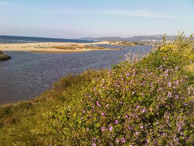 Ferienwohnung in La Mudizza (Sassari) oder Ferienwohnung oder Ferienhaus