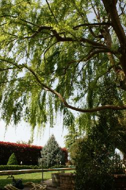 Ferienhaus in Korinthos (Korinthia) oder Ferienwohnung oder Ferienhaus