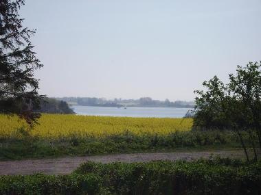 Bild aus der Umgebung