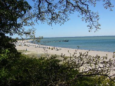 Ferienwohnung in Pelzerhaken (Ostsee-Festland) oder Ferienwohnung oder Ferienhaus